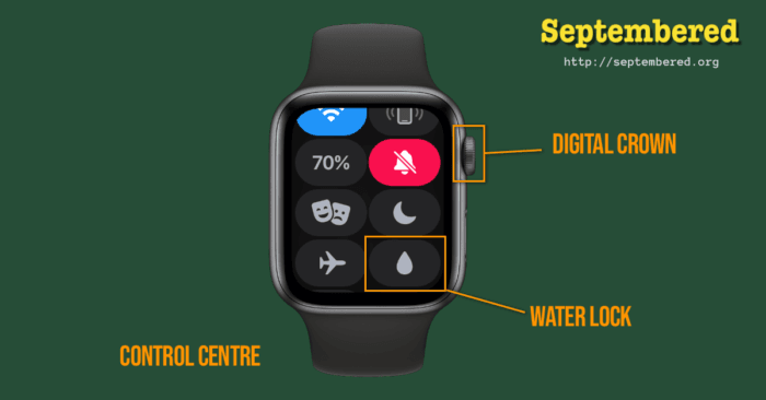 Water Lock Controller How to Use Water Lock Mode on Your Apple Watch in Class - Septembered